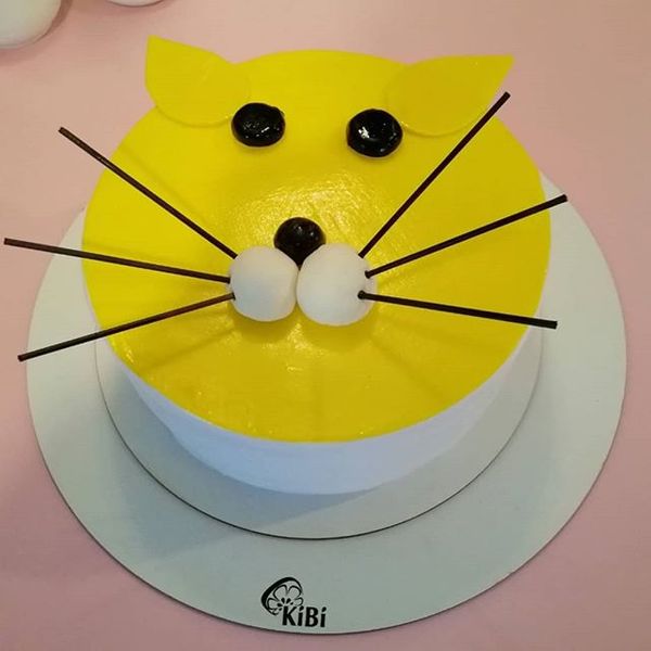 Торт "Солнечный котик"