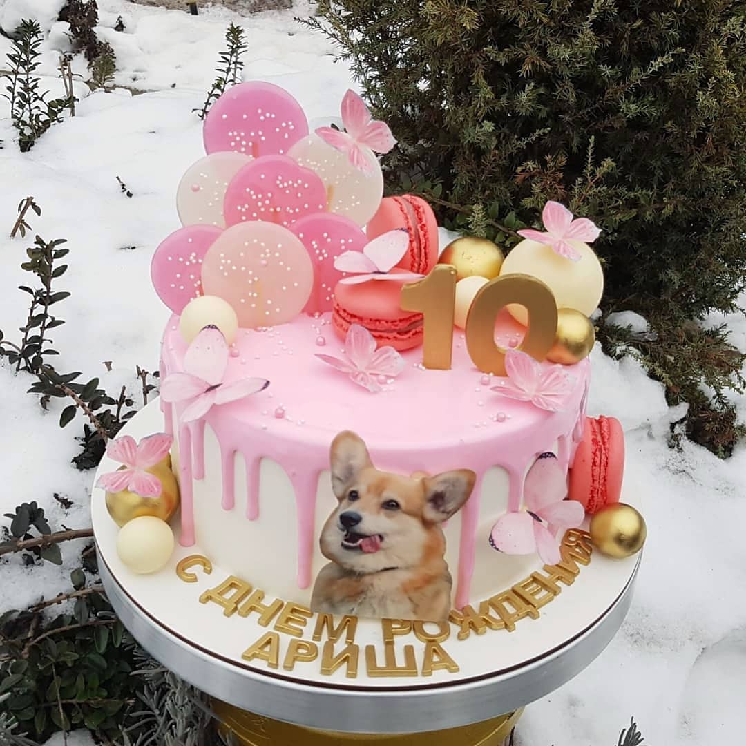 Торт "Собачка в подарок" | Фото №2