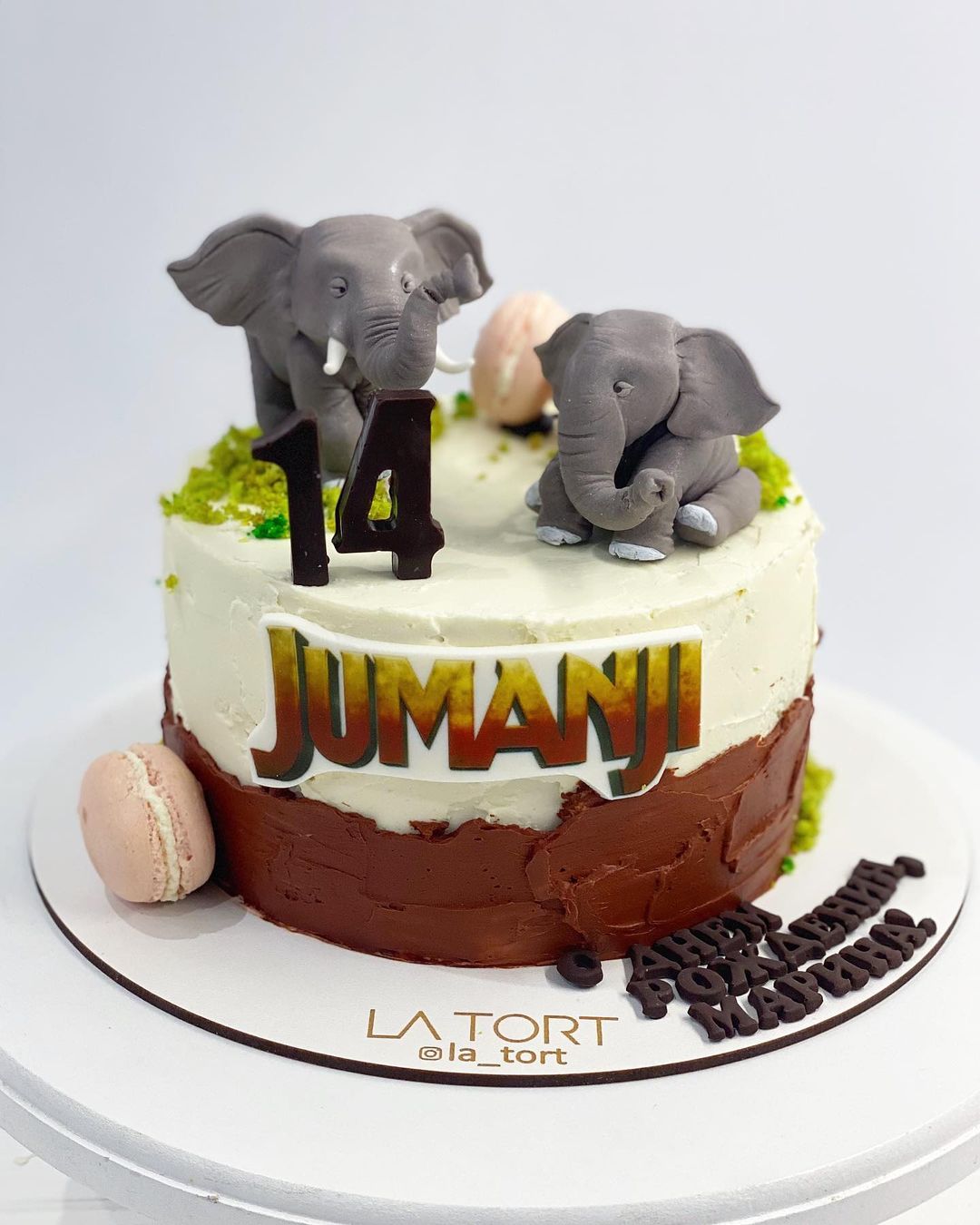 Торт "Джуманджи" | Фото №2